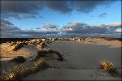 SYLT - Morgenlicht