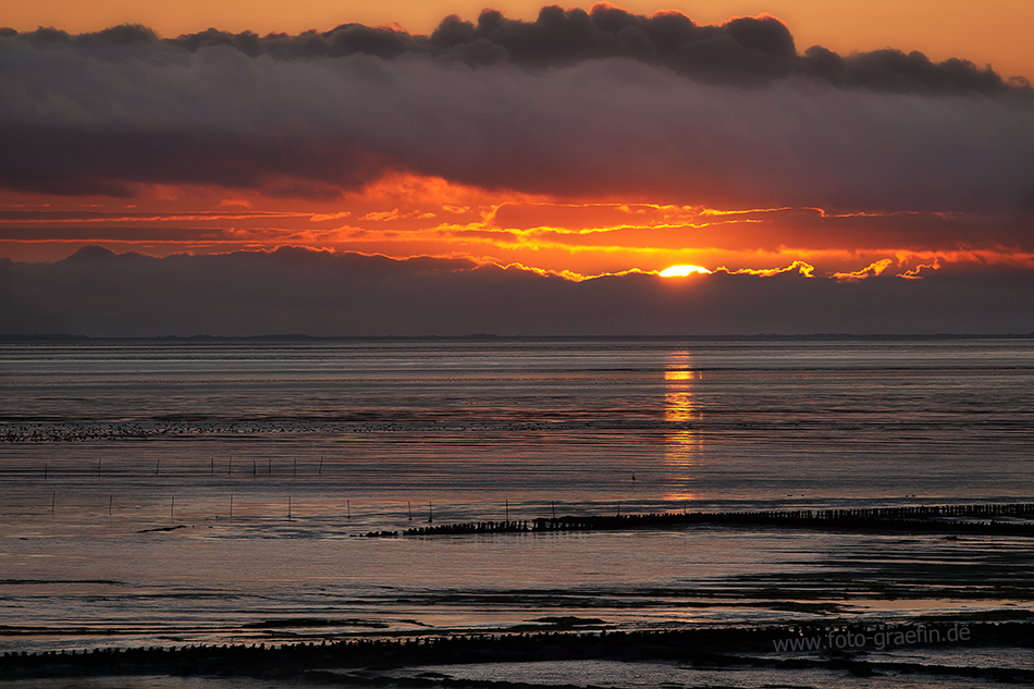 SYLT - Morgens am Watt