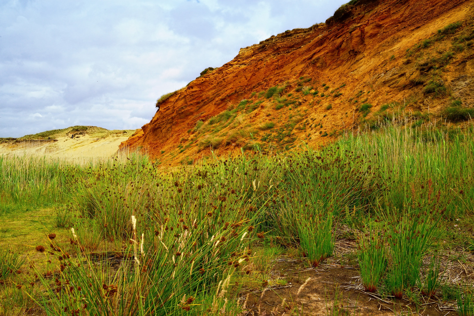 Sylt Morsum Kliff