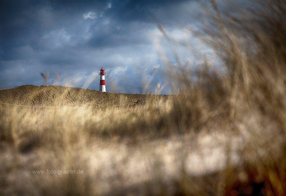 SYLT - Naturschutzgebiet