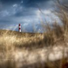 SYLT - Naturschutzgebiet