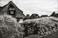 SYLT - Nordfriesland 2