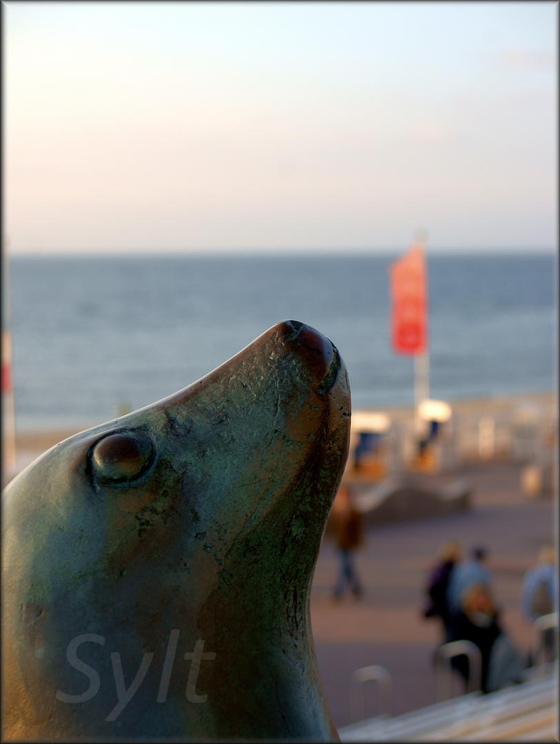 Sylt Oktober 2010