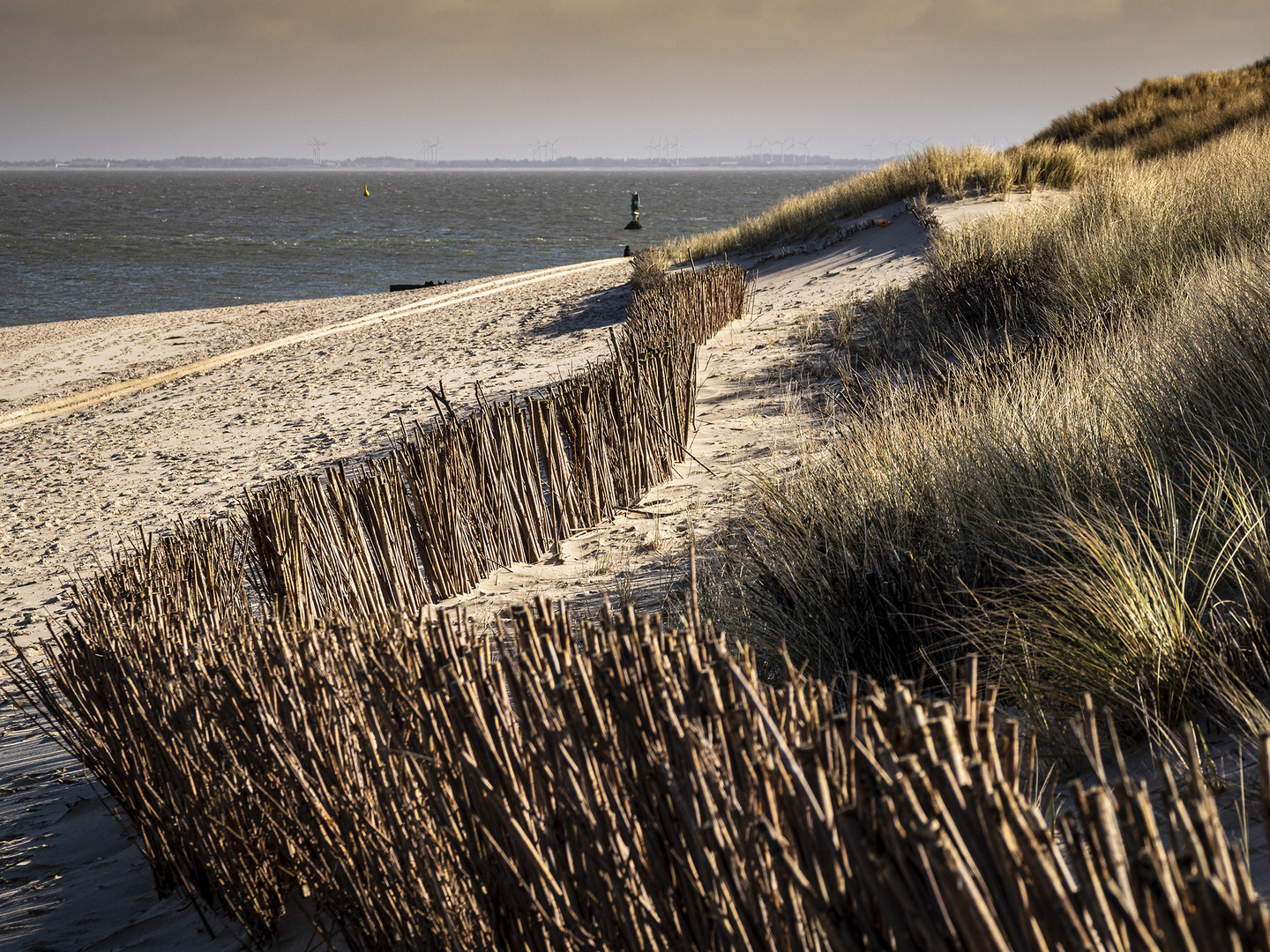 Sylt, OT List, Ellenbogen