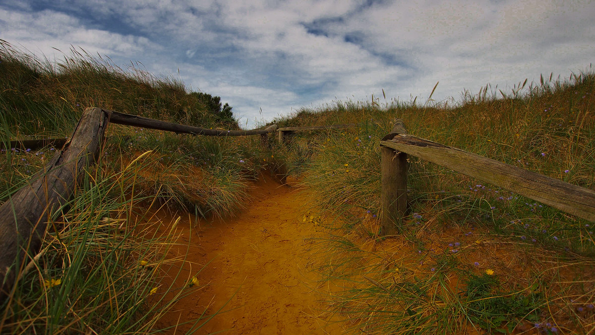 Sylt - Pfad übers Morsumer Kliff