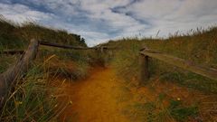 Sylt - Pfad übers Morsumer Kliff