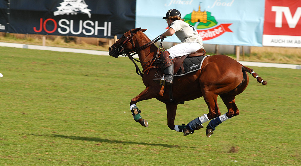 Sylt Polo No.1