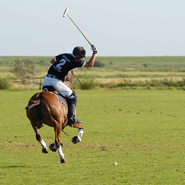 Sylt Polo No.3