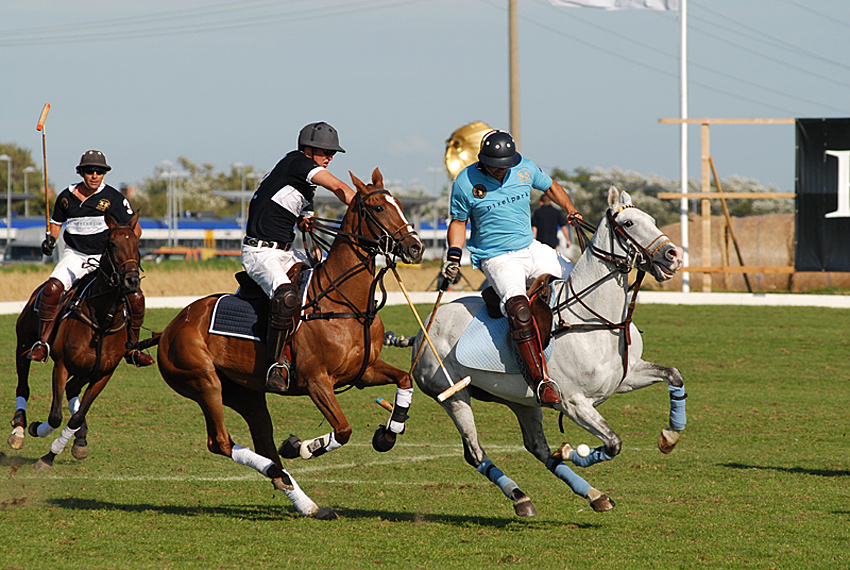 Sylt Polo No.4