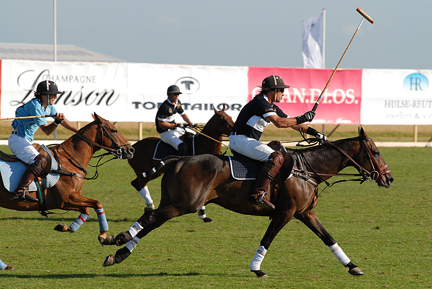 Sylt Polo No.5