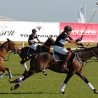 Sylt Polo No.5