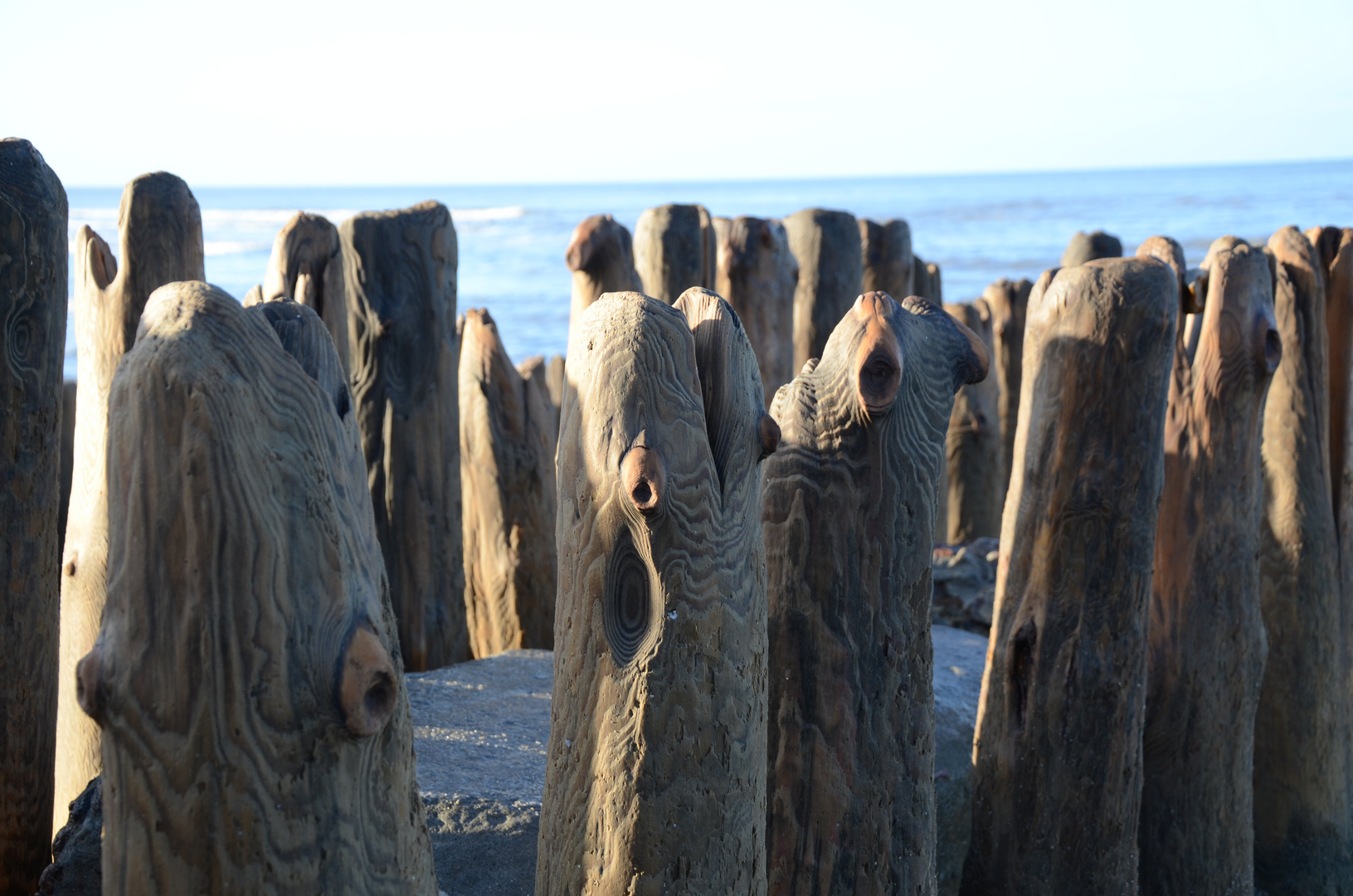 Sylt Rantum Buhnen 2012 - Pfahlgesichter