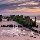 Sylt Rantum Buhnen (Sonnenuntergang)