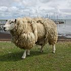 SYLT - Rantum kurz nach dem Sturm