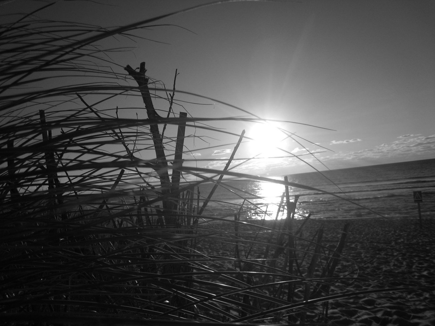 Sylt. Rantum. Strand.