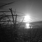 Sylt. Rantum. Strand.