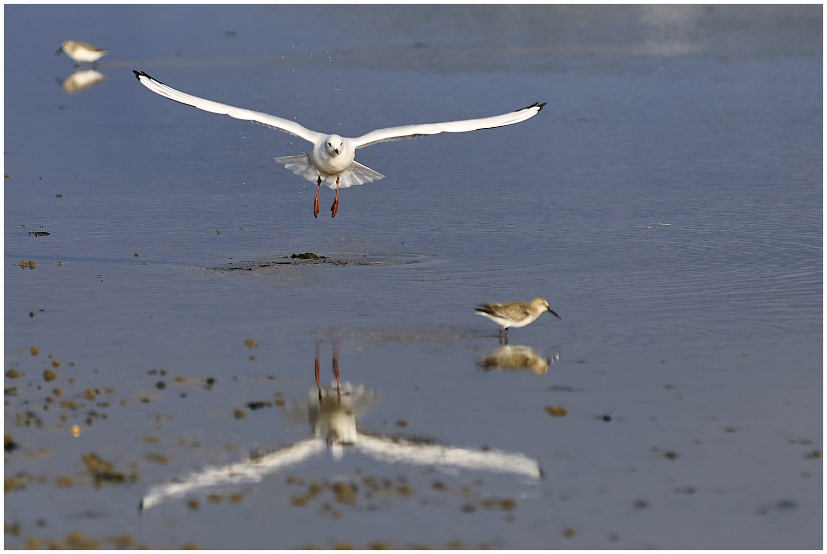 SYLT - Reflections @ Lift-off