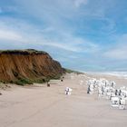 Sylt. Rotes Kliff.