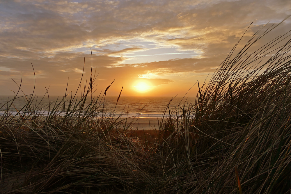 SYLT sagt "gute Nacht"