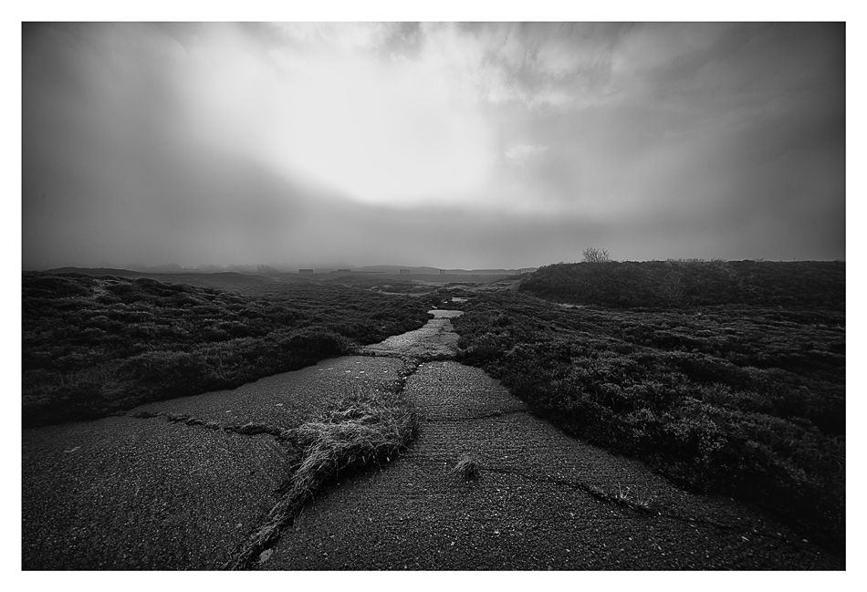 SYLT - Seenebel