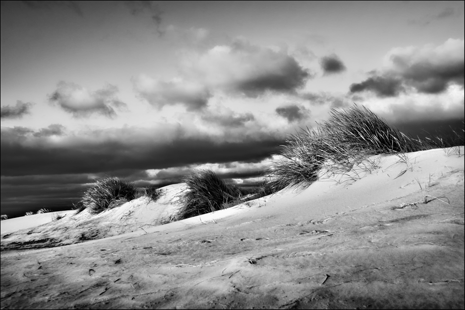 SYLT - Sehnsucht