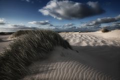 SYLT - Sommerfeeling