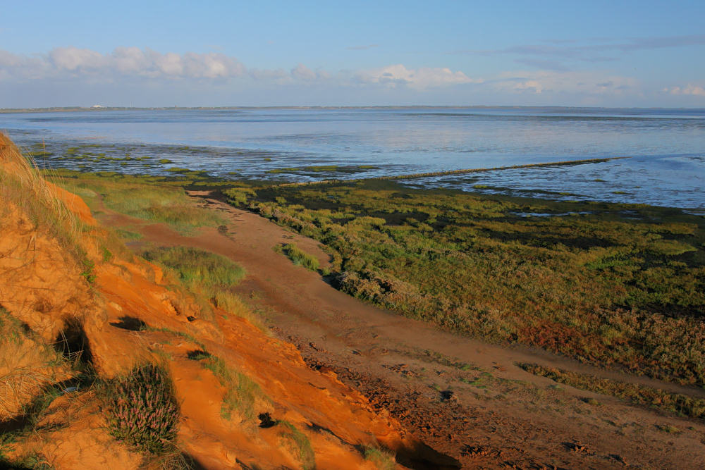 Sylt Sonnenaufgang am Morsum Kliff