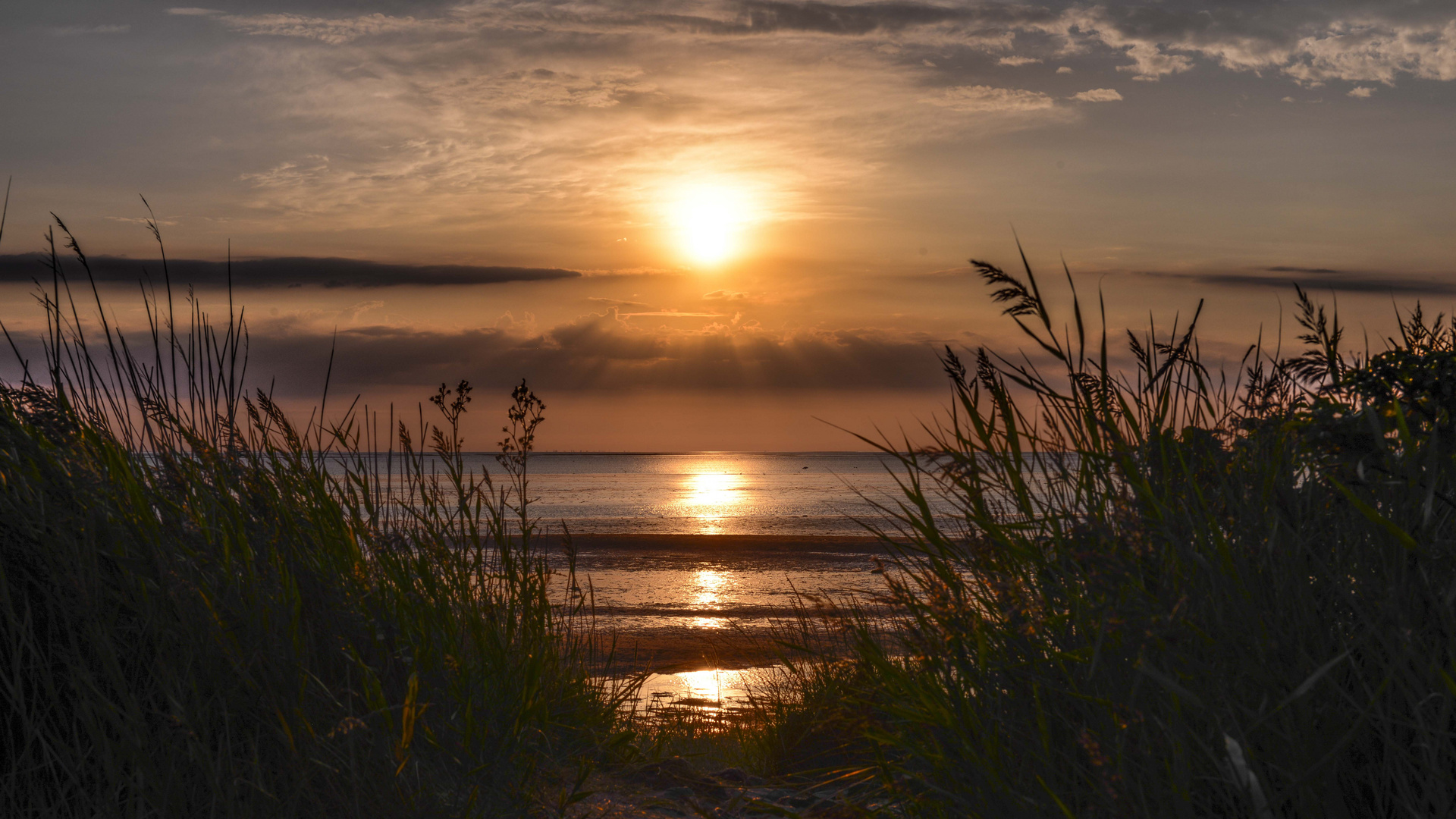 Sylt Sonnenaufgang Wattenmeer