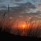 Sylt- Sonnenuntergang am Roten Kliff