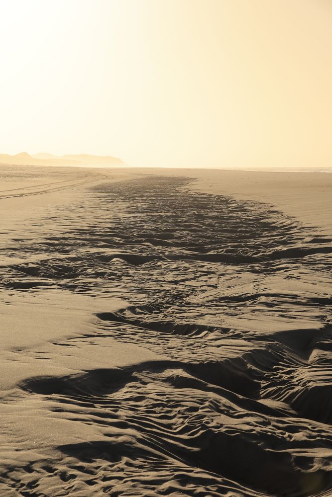 Sylt - Spuren am Strand nach der Ebbe