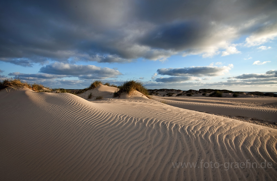 SYLT - Spuren der Natur