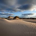 SYLT - Spuren der Natur