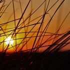Sylt Strand Dünen Sonnenuntergang