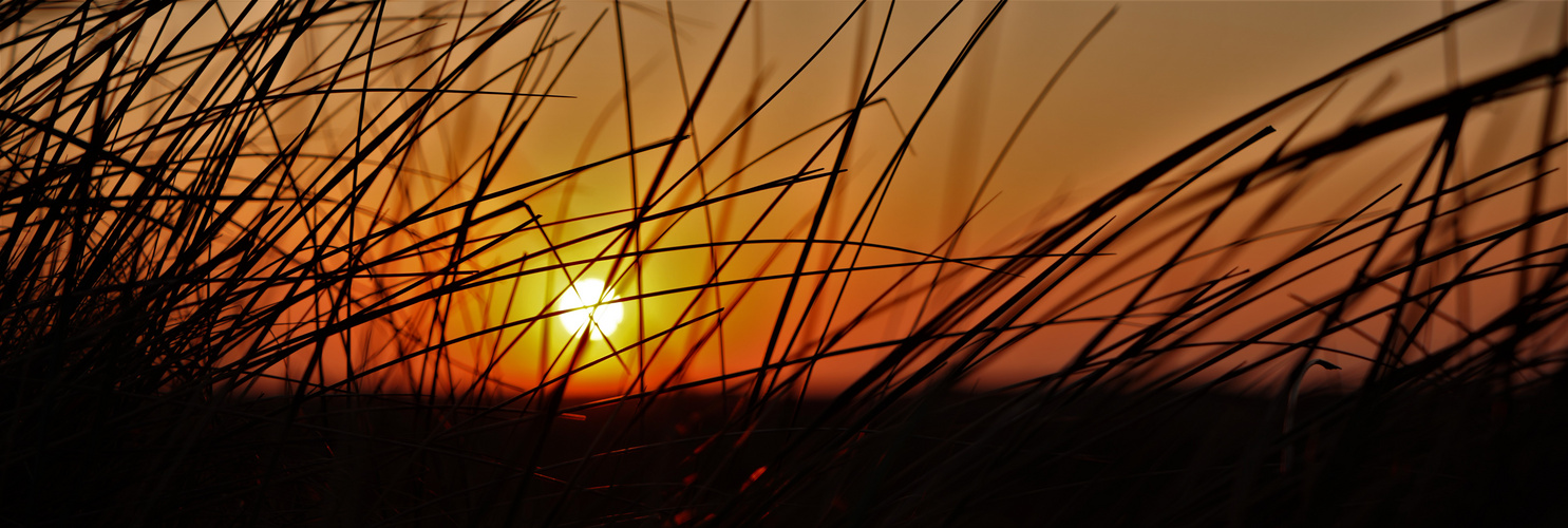 Sylt Strand Dünen Sonnenuntergang