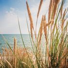 Sylt - Strand mit Dünengras