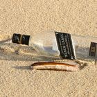 Sylt-Strandgut Johnnie Walker