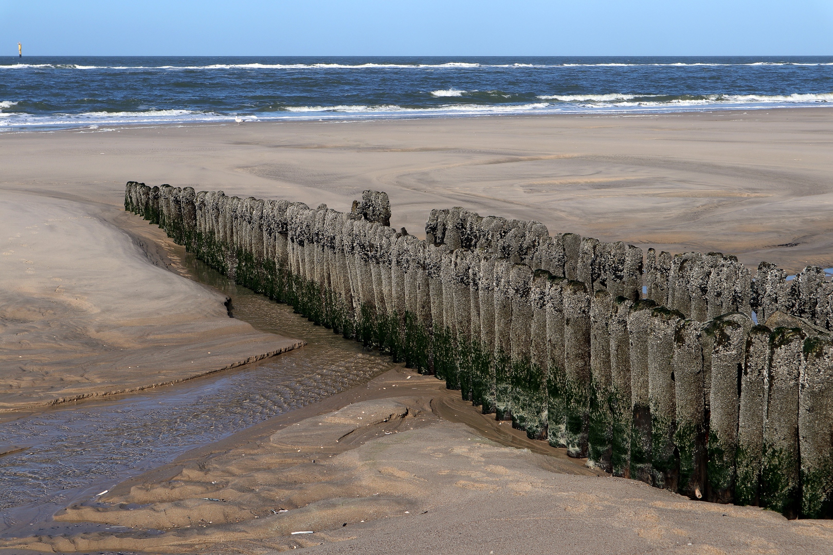 Sylt - Strandimpressionen (03)