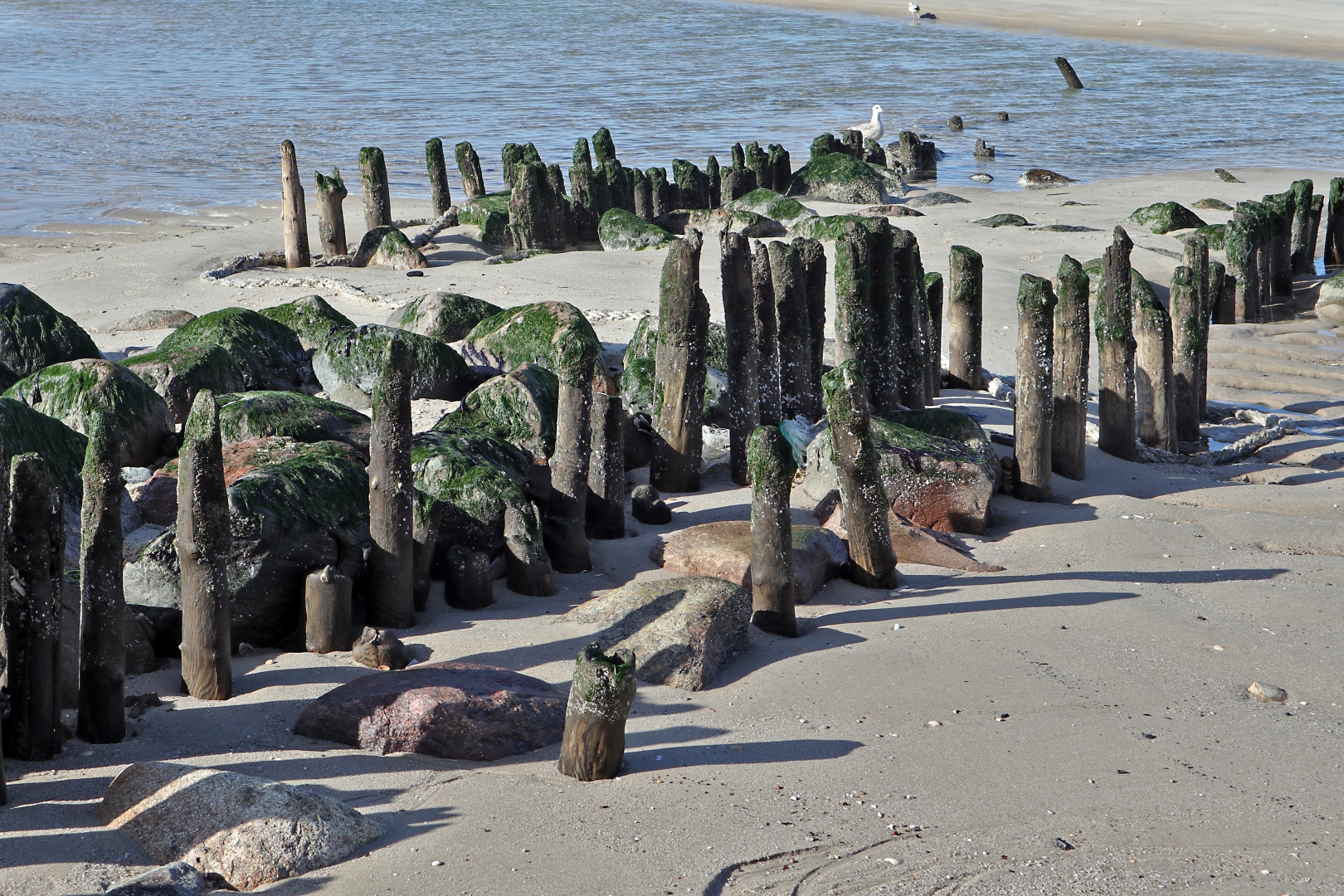 Sylt - Strandimpressionen (07)