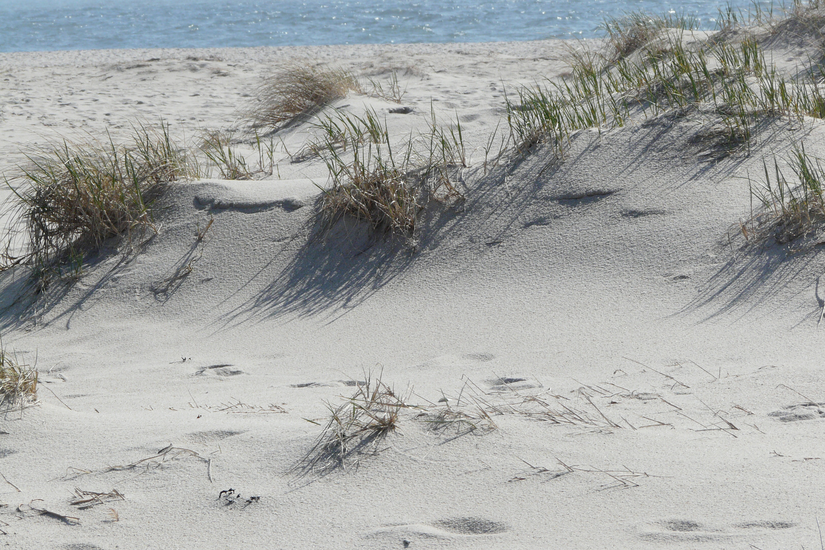 Sylt Südspitze