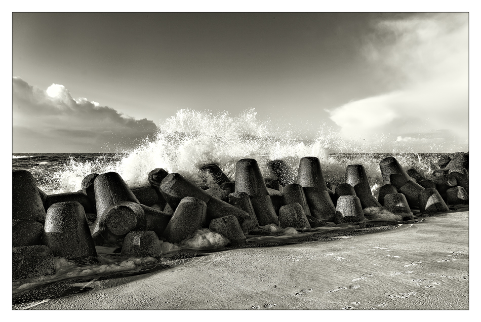 SYLT - Tetrapoden