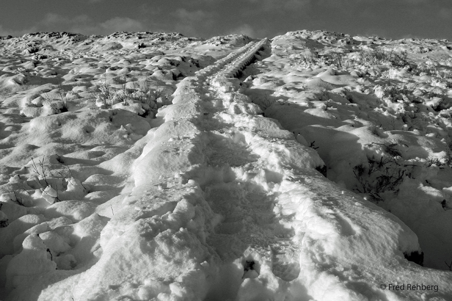 Sylt- ... to the beach