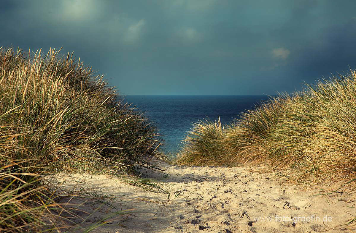 SYLT - Über den Dünen