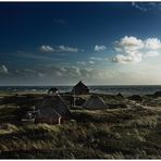 ~~SyLT V~~