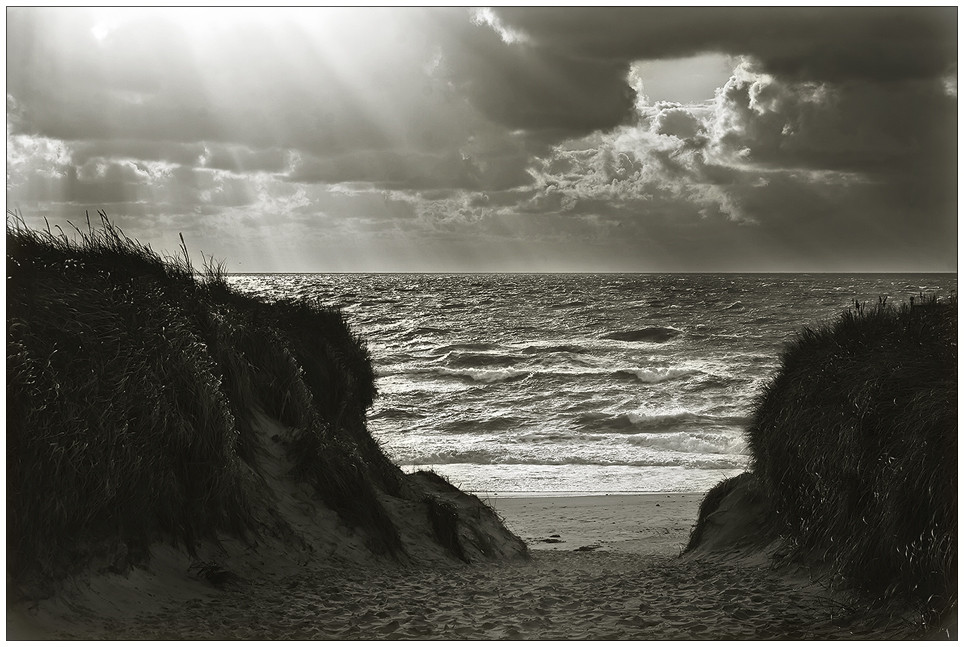 ~~SyLT VI~~