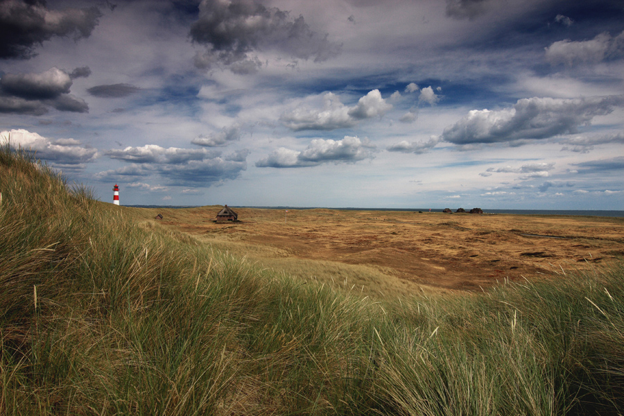 Sylt VI