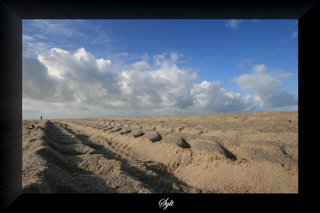 Sylt Vl