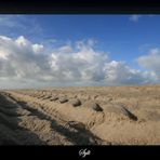 Sylt Vl