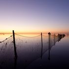 Sylt - Vorm Sonnenaufgang