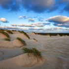 Sylt - Wanderdüne