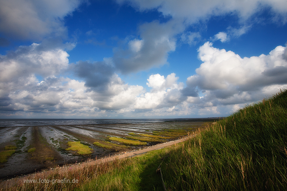 SYLT - Watt bei Keitum